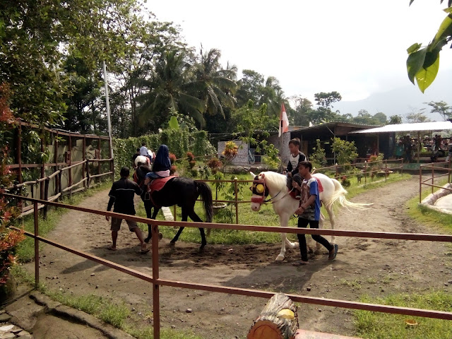 Wisata Renang dan Kebun Binatang Mini di J&J Linggarjati Kuningan