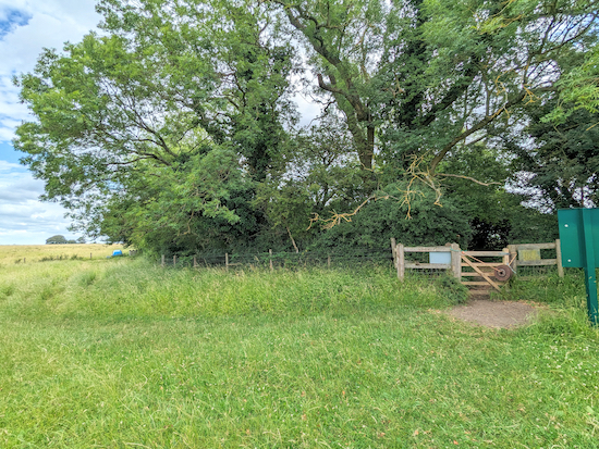 The gate leading to The Icknield Way