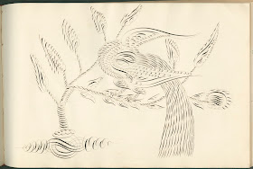 Swirling lines forming the shape of a long-tailed bird on a tree branch.