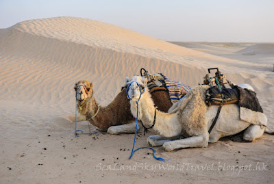 突尼西亞, tunisia, Sahara Desert, 撒哈拉沙漠