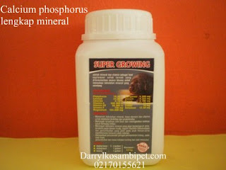 Calcium,Super growing,Calcium anak anjing,Calcium anjing,Calcium kucing,Calcium pertumbahan