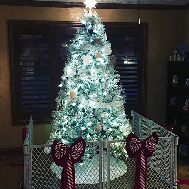 These Geniuses Found A Way To Protect Their Christmas Trees From Their Cats And Dogs