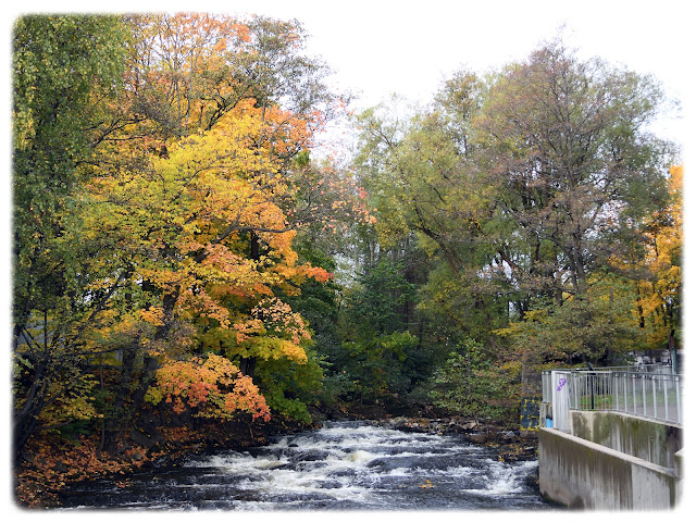 Laksetrappa i Nedre Foss.