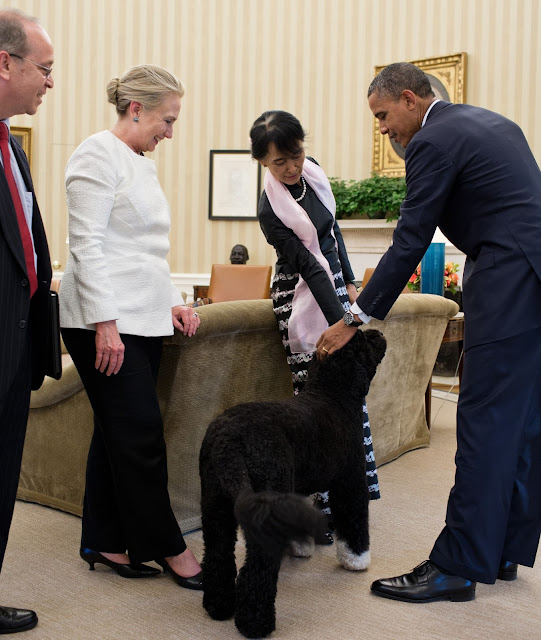 Obama Dog : Portuguese Water Dog