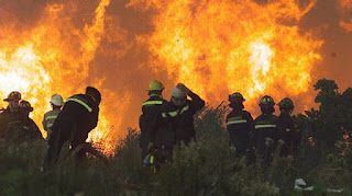 Incendios Forestales: De acuerdo a la información entregada por la Onemi, ocho regiones siguen en alerta por incendios forestales.