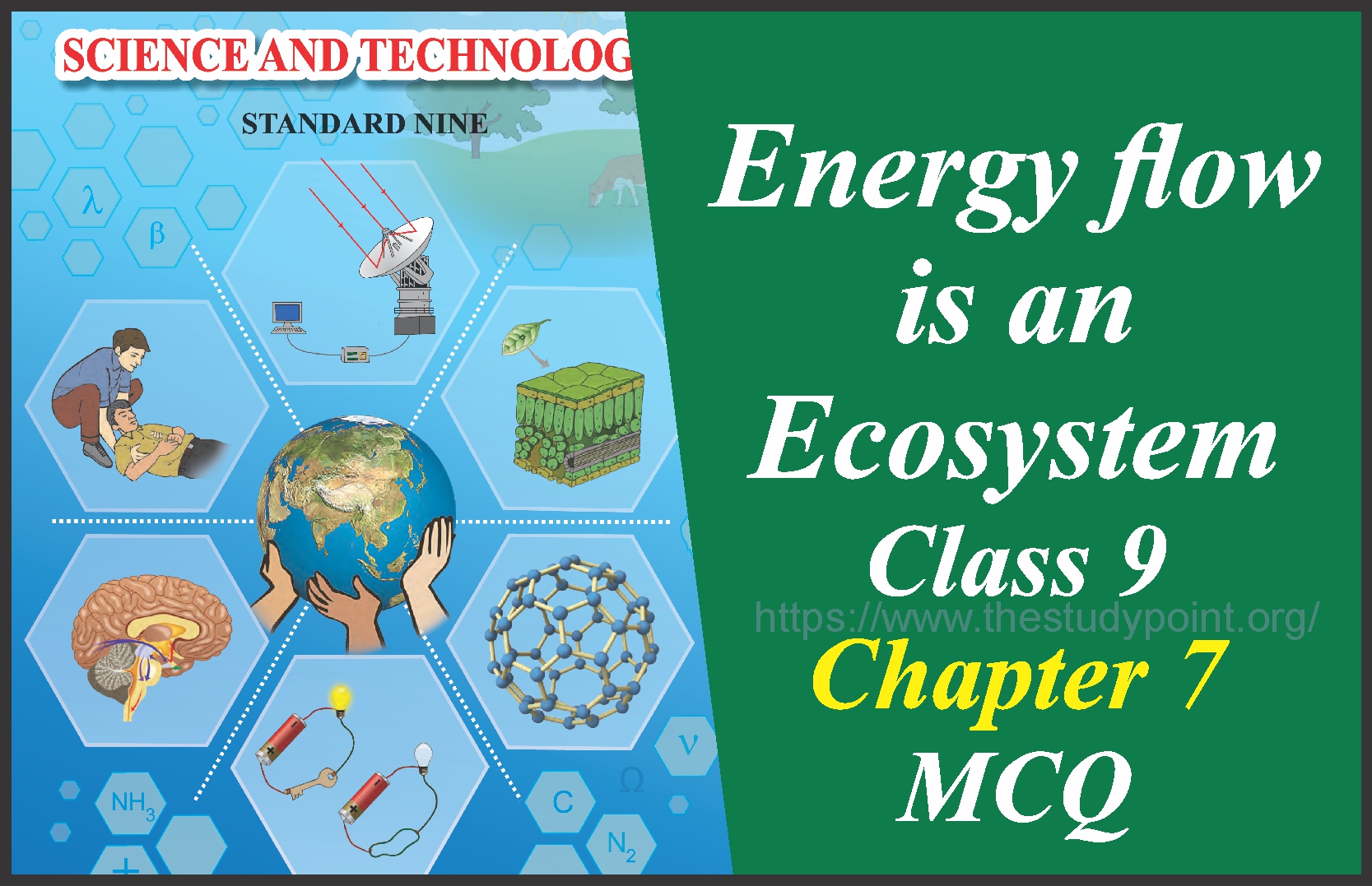 Energy flow is an Ecosystem Chapter No 7 MCQ