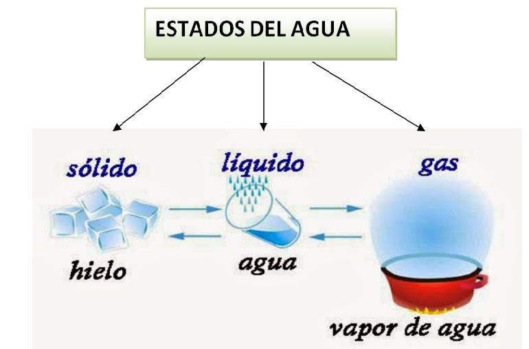 CUARTO 2016 ESTADOS DEL AGUA