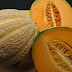 Serangan Hama Lalat Buah Pada Budidaya Tanaman Melon