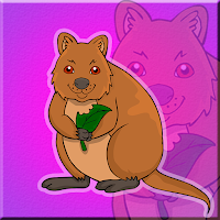 Play Games2Jolly The Quokka Es…