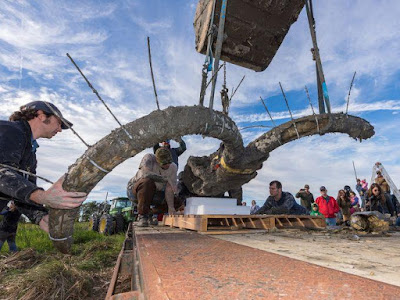 Fosil Mammoth Raksasa Berbulu ditemukan di Michigan