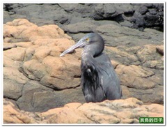 20120617_094404_043_Ponghu