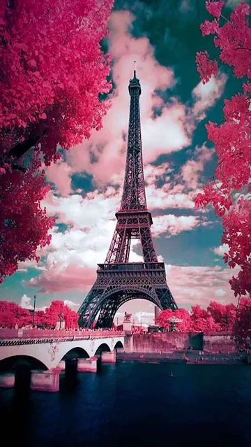 أفضل صور حصرية مميزة، برج ايفل وسط زهور حمراء اللون