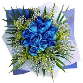Blue Rose  Flower Wallpapers