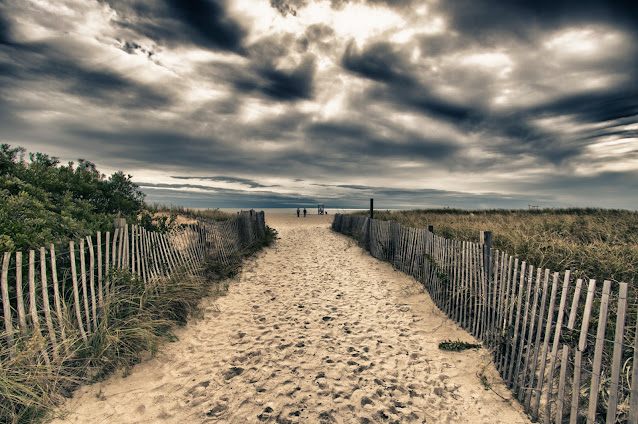 Seagull beach-Cape Cod