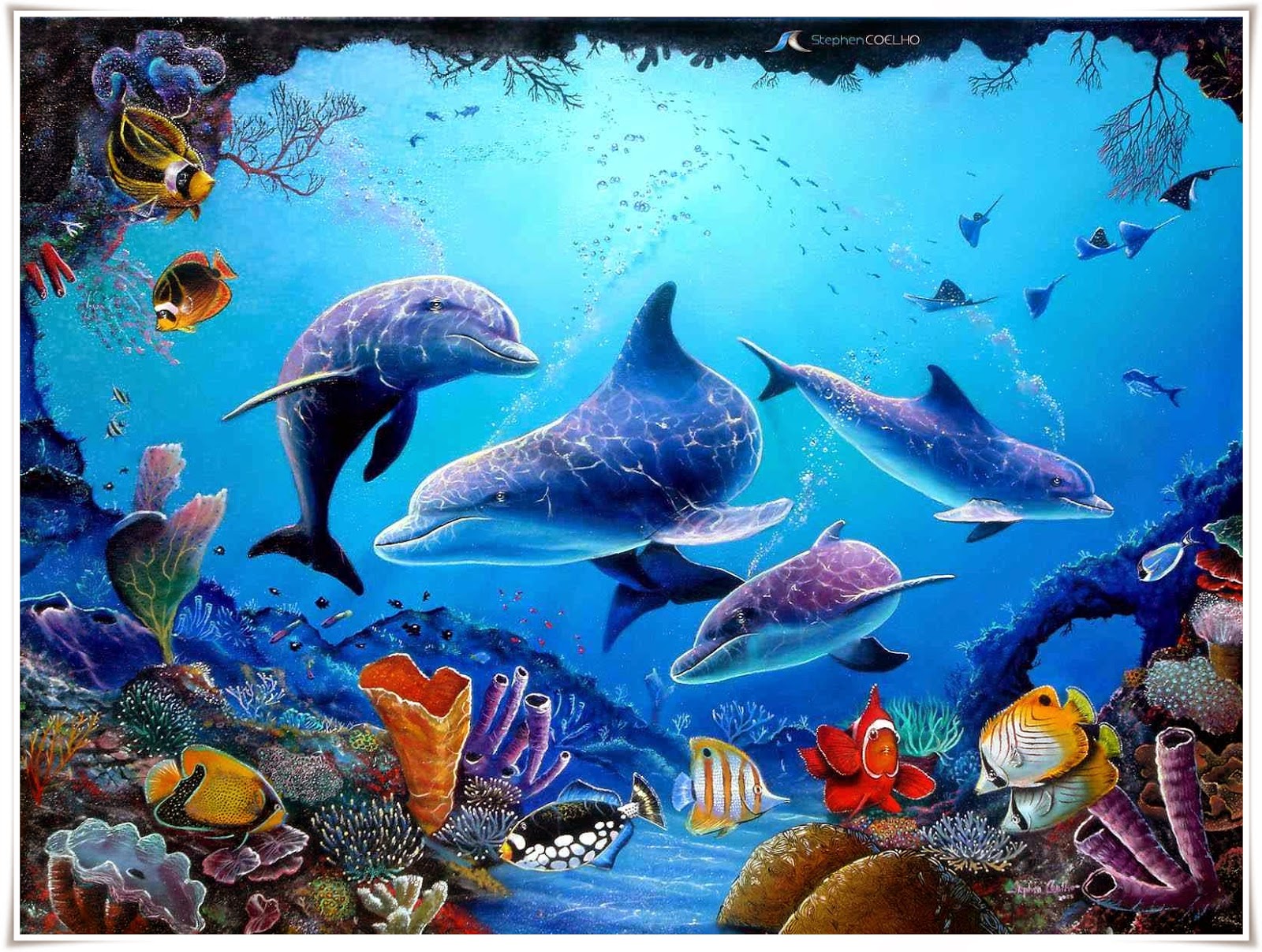  Gambar  Lumba Nama Gambar  Binatang  Wallpaper Ikan  Lukisan 