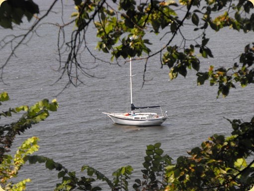 Bellingham & Fairhaven, WA 190