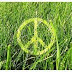 15 septembrie: Ziua Greenpeace