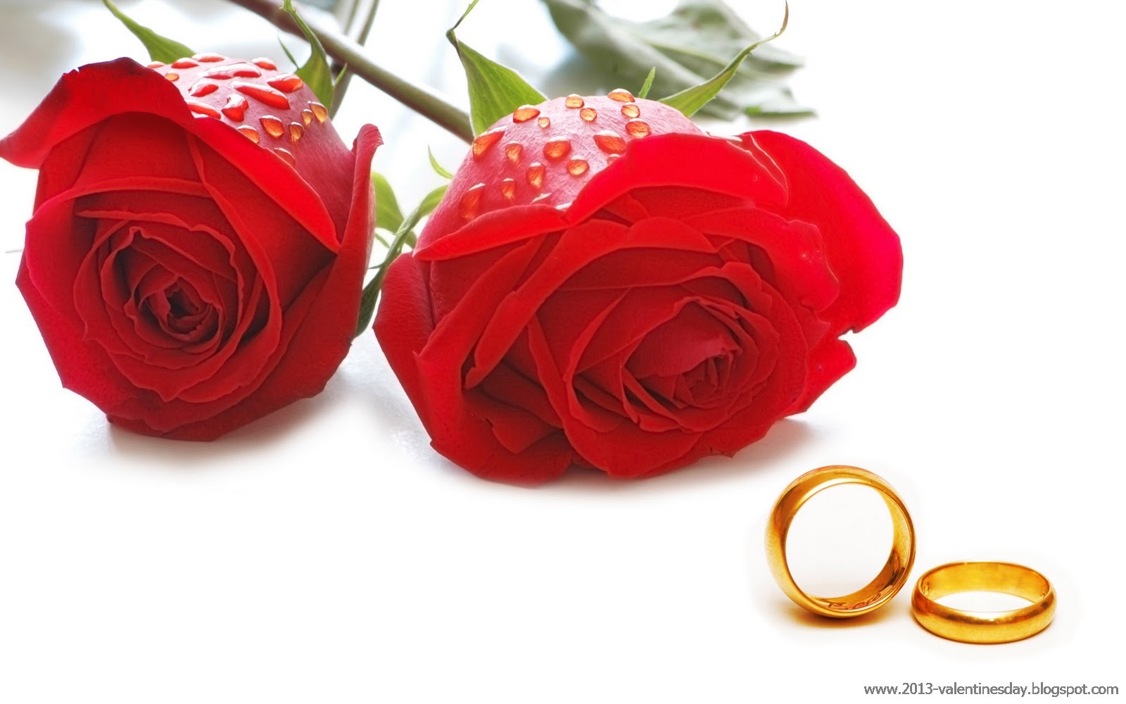 17. New Latest Happy Rose Day 2014 Hd Wallpapers