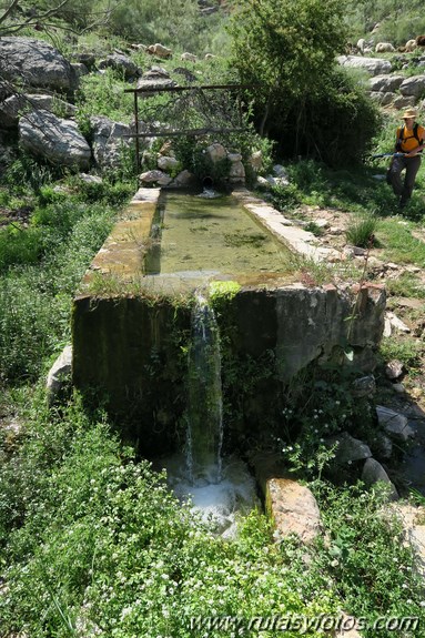 Tajo del Abanico - Encinas Borrachas - rio Audalazar - Alpandeire