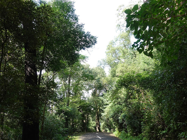 湊山公園の昔の国道９号線