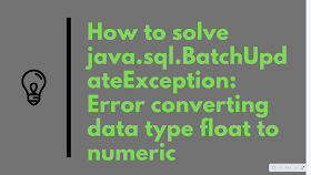 java.sql.BatchUpdateException: Error converting data type float to numeric