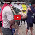 (((VIDEO))) KISAH NYATA Anak 11 Tahun Ini Jatuh ke Dalam Danau Piranha dan Keluar dengan Bentuk Seperti Ini!