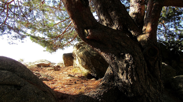 Cercedilla