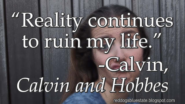 “Reality continues to ruin my life.” -Calvin, _Calvin and Hobbes_