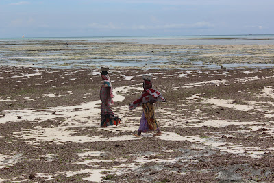 pescatrici di zanzibar