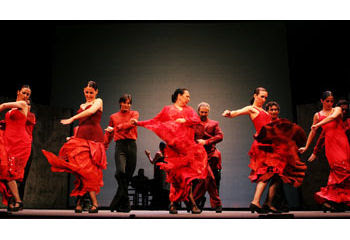 IL Flamenco