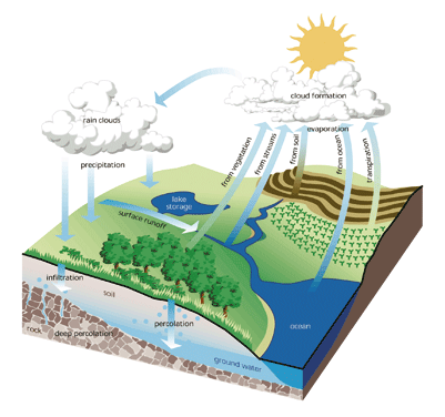 water cycle diagram with labels. faraz, The