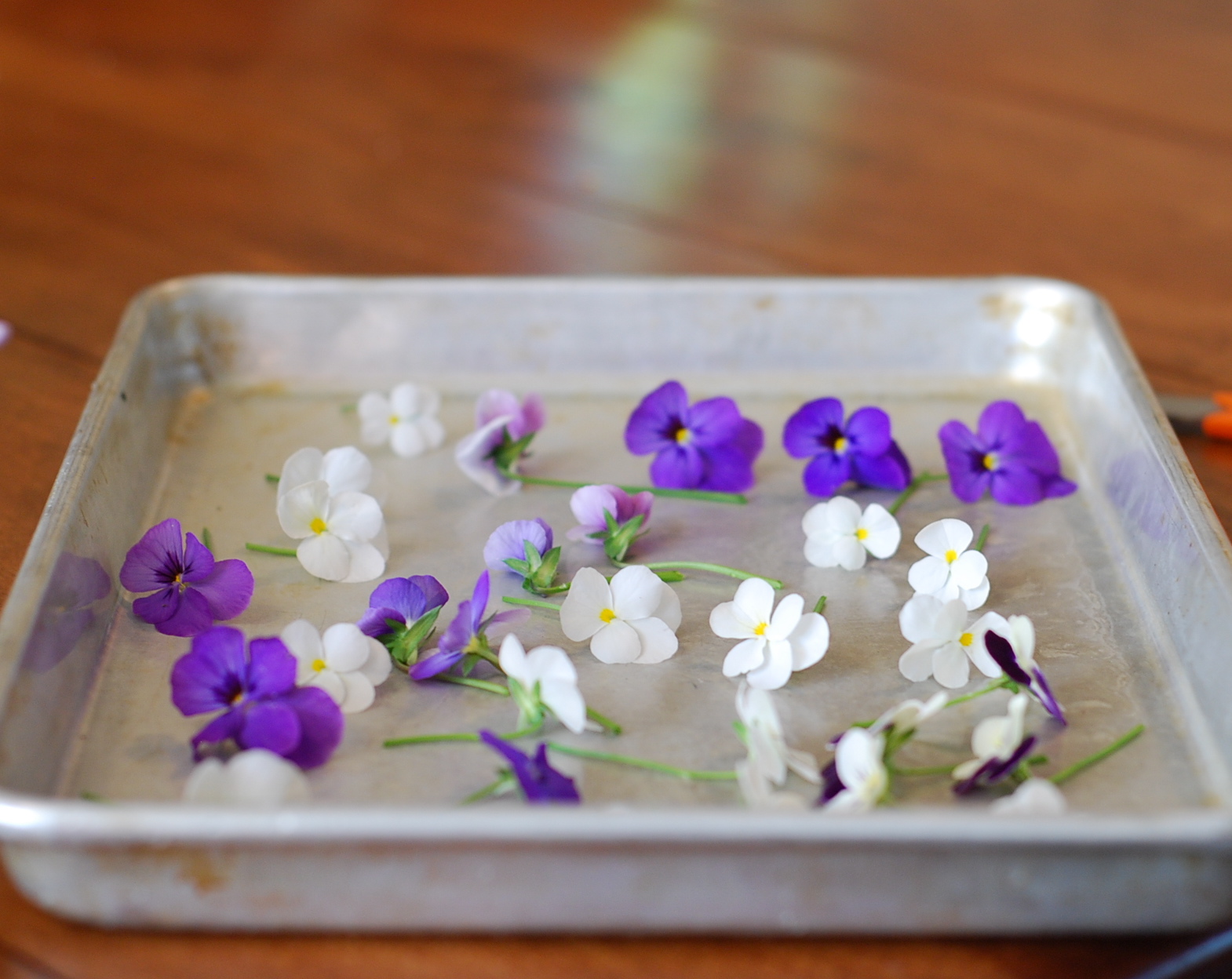 Marzipan Sugared Edible Flowers For Cake Decorating