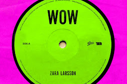 Zara Larsson – Wow – Single [iTunes Plus M4A]