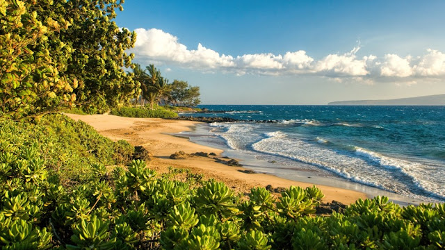 Polo Beach - Hawaii