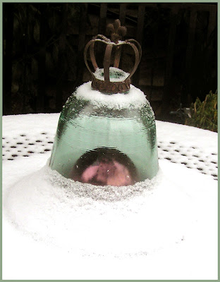 A glass cloche on one of my garden tables: