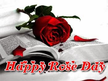 Happy Rose day Whatsapp DP