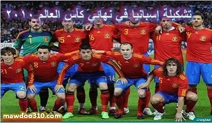 تشكيلة إسبانيا في نهائي كاس العالم 2010