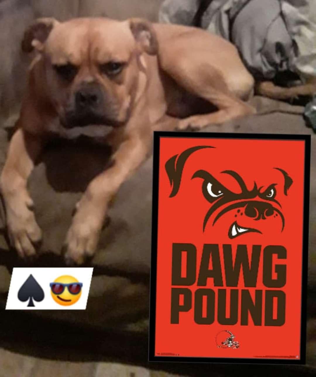 dawg pound