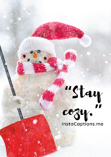 Stay Cozy"| Best Christmas Captions for Instagram 2020 | InstaCaptions