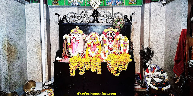 Jagannath Temple at Hauz Khash