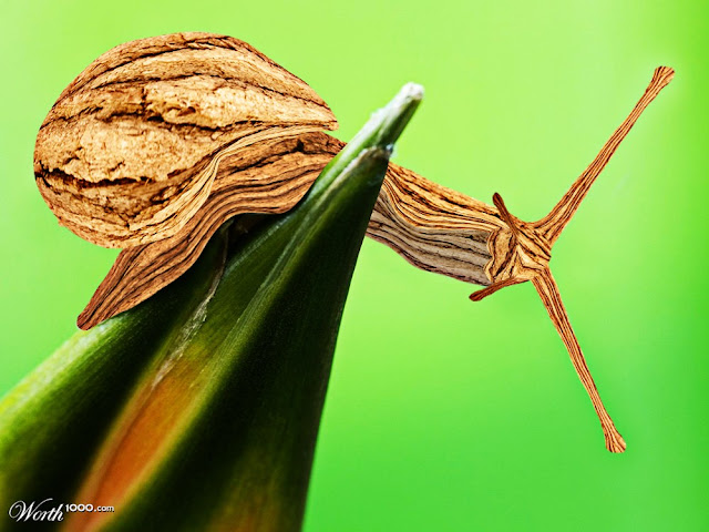 wooden snail