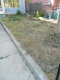 Toronto Little Italy Fall Front Garden Cleanup After by Paul Jung Gardening Services--a Toronto Organic Gardening Company