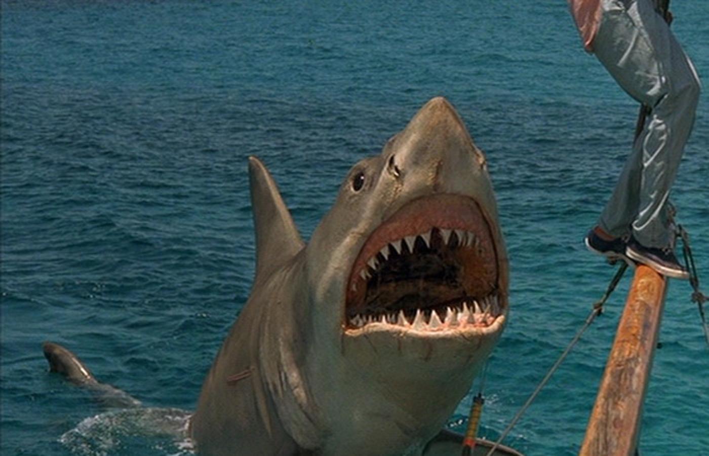 ShukerNature: THE JAWS OF MEGALODON - SHARK OF NIGHTMAREAND REALITY?