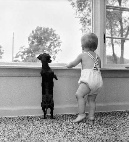 Kids and Pets Seen On www.coolpicturegallery.us