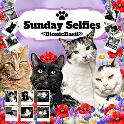 TheSunday Selfies ©BionicBasil® September Banner