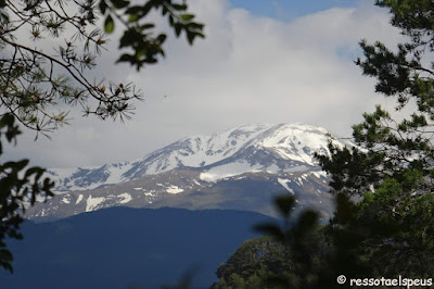 Sant Amand des del balneari de Montagut