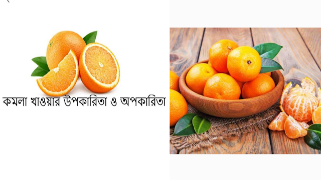 যে কারণে অবশ্যই কমলা খেতে হবে জেনে নিন সম্পূর্ণ বিস্তারিত তথ্য | Benefits of eating oranges for the human body