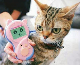 kollima.gr - 30 αστεία προϊόντα που κάθε ιδιοκτήτης γάτας θα ήθελε να αποκτήσει!