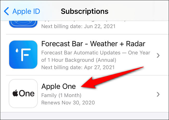 حدد اشتراك Apple One الخاص بك من القائمة