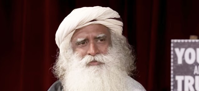 Gurú de la India explica por qué no existe el alma gemela | #video